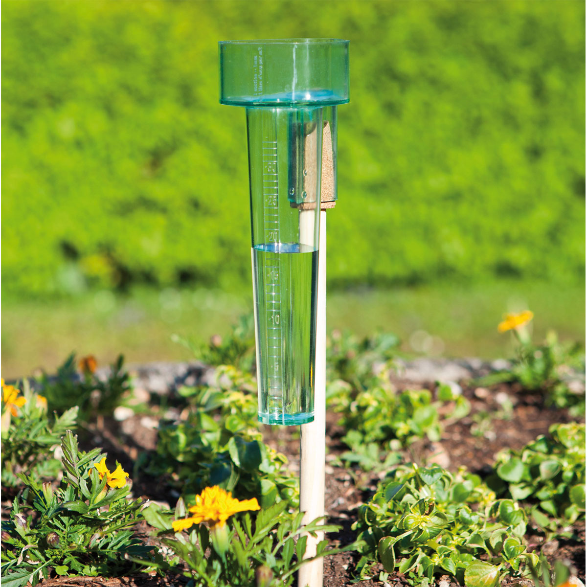 Windhager  Regenmesser Profi Bild 1