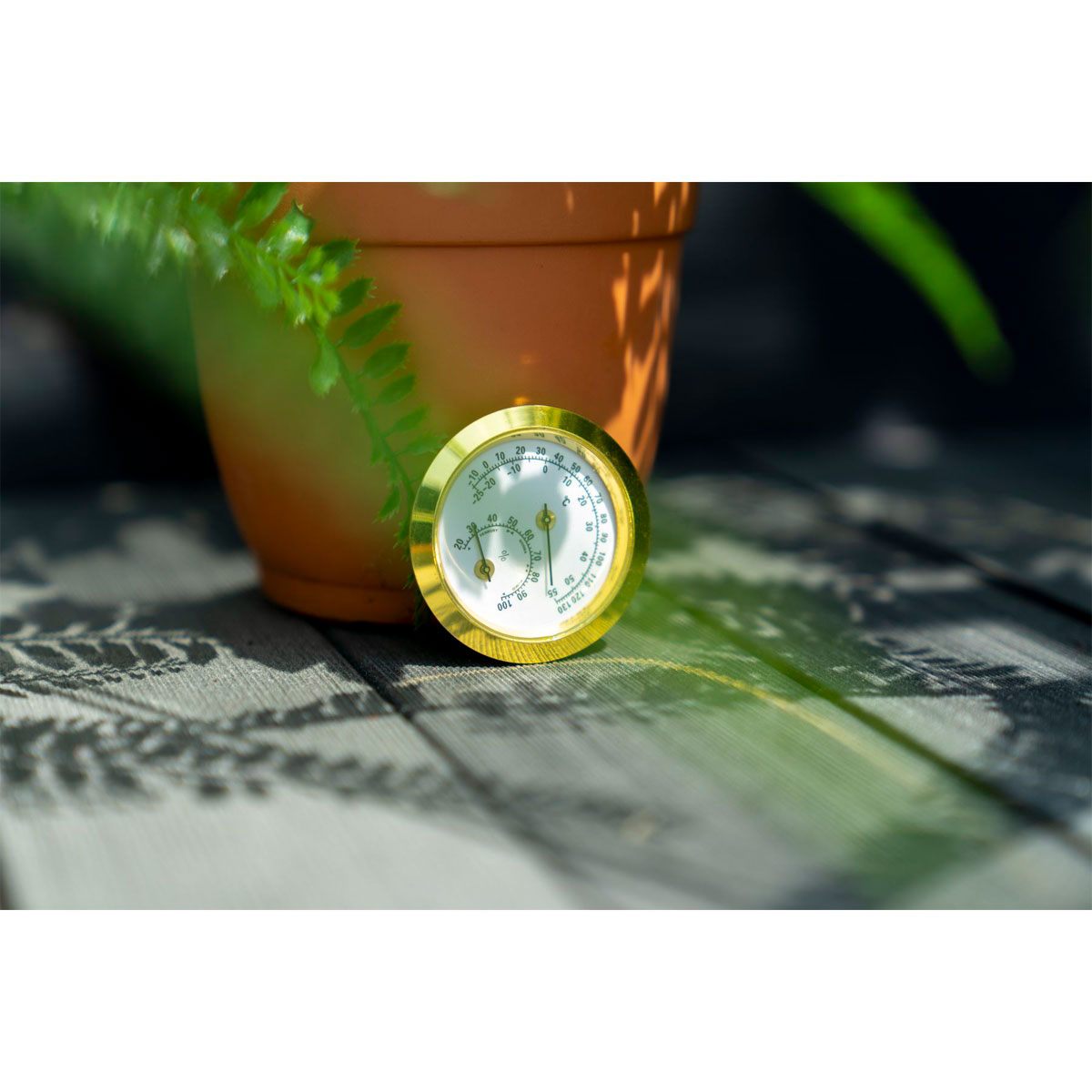 Vitavia Hygrometer Blister Bild 4