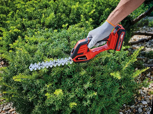 Eine Person schneidet mit einem roten Einhell-Heckenschneider einen grünen Busch im Garten.