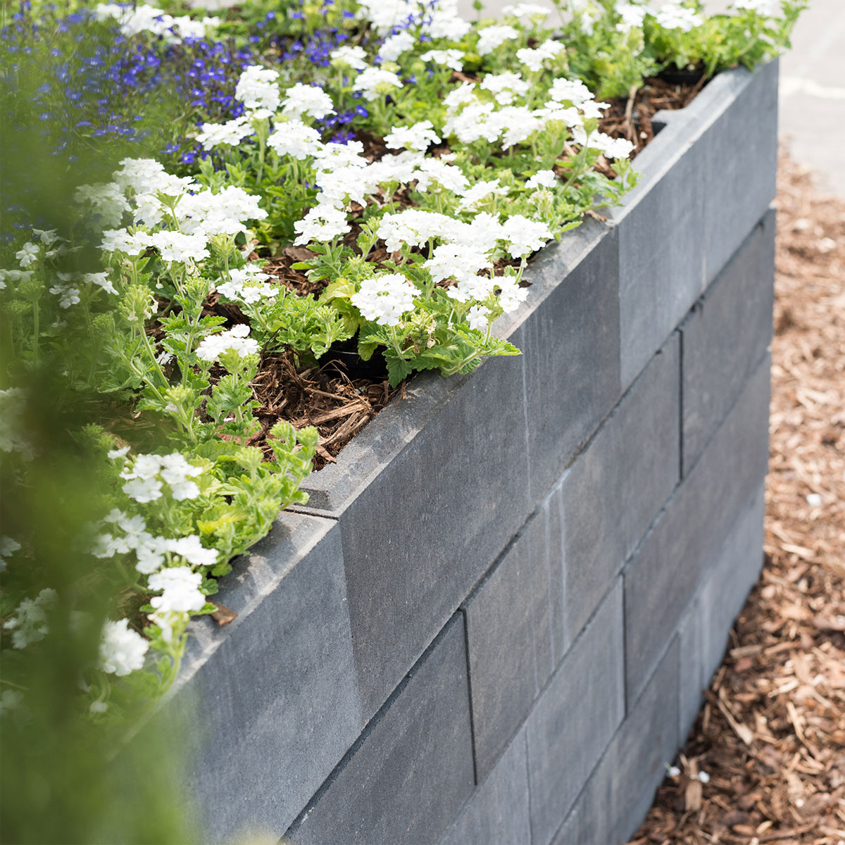 Diephaus  Mauerstein Top Maxi Quarzit 60 x 40 x 20 cm Bild 2