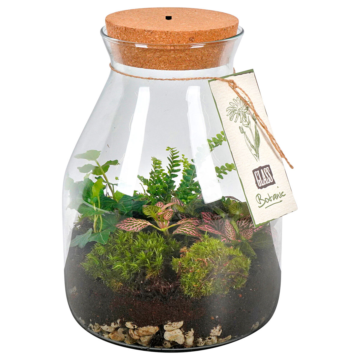 Plantiflor  Bepflanztes Glas mit LED-Beleuchtung 28 x 19 cm