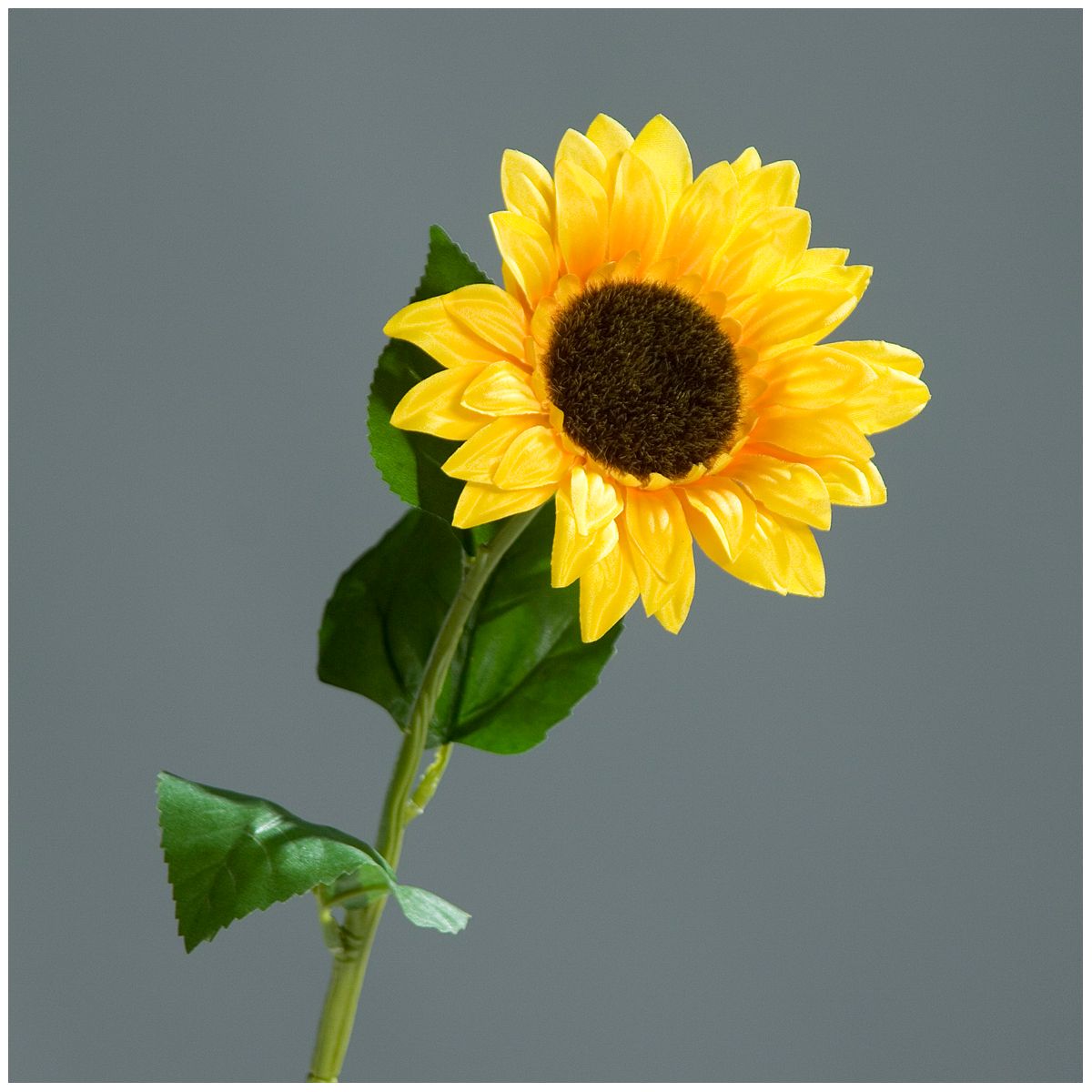 Sonnenblume 50 cm gelb Bild 2