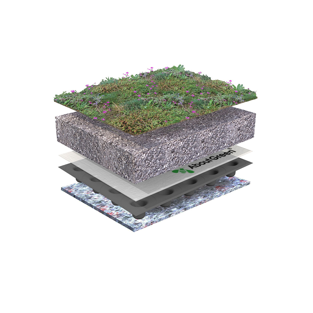 AboutGreen Gründachsystem Aromadach bis 10 Dachneigung 1 m² Bild 7