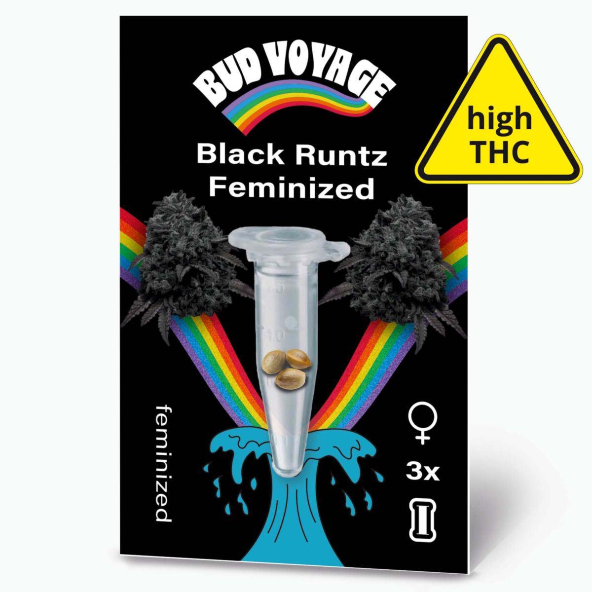 Bud Voyage Hanfsamen Black Runtz Feminisiert