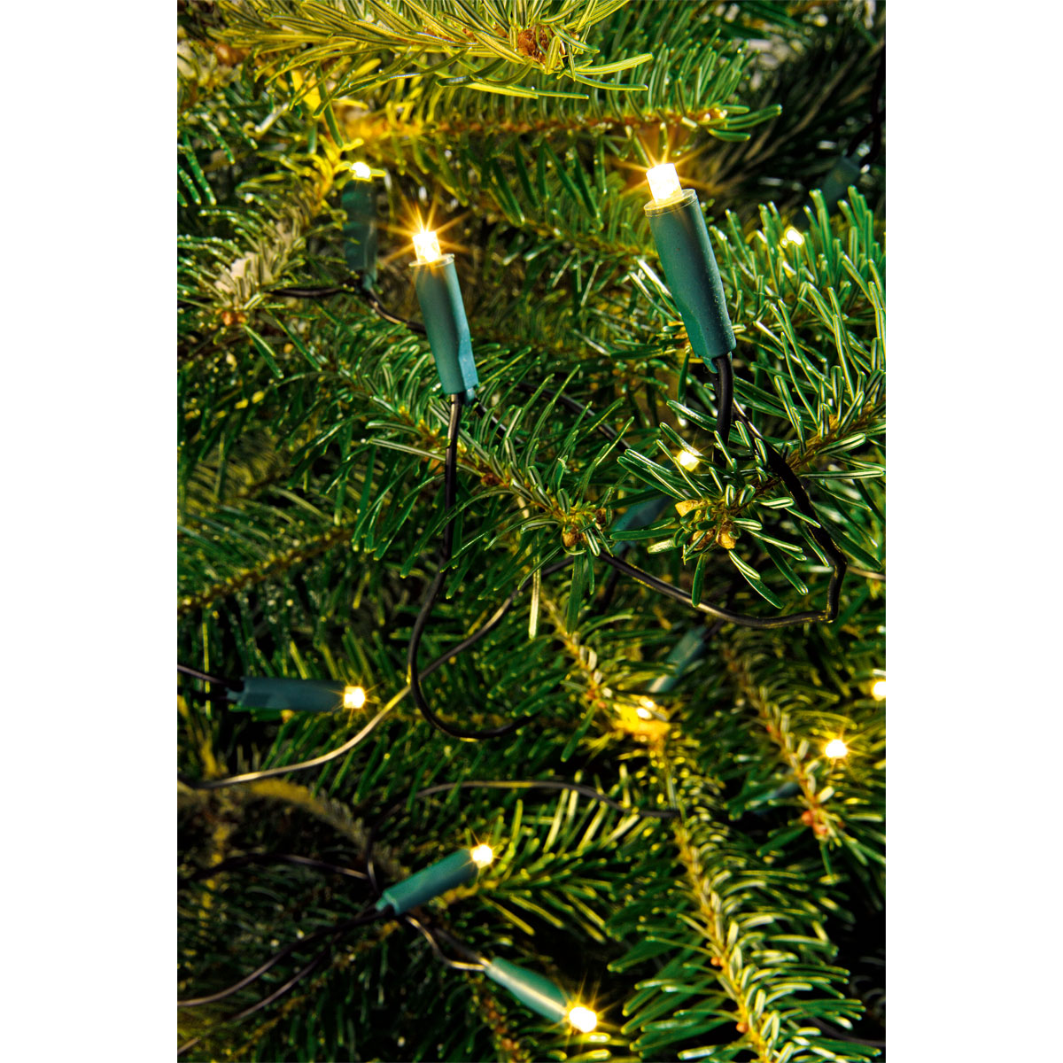 Ambientis LED-Innenlichterkette 10 LEDs warmweiß Bild 5