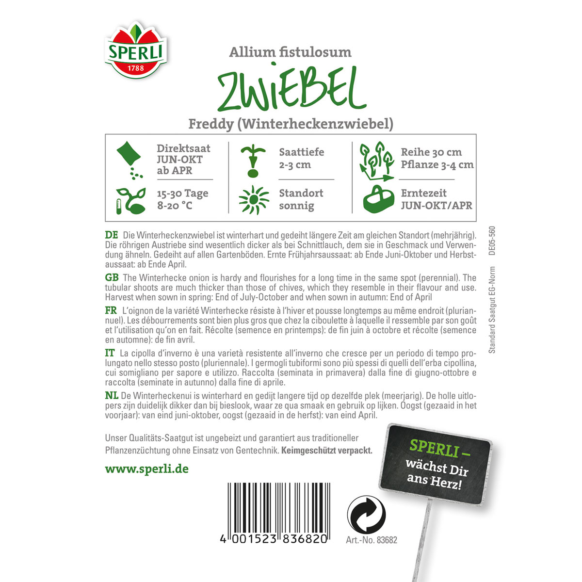 Sperli Wintersteckzwiebeln Freddy Bild 2