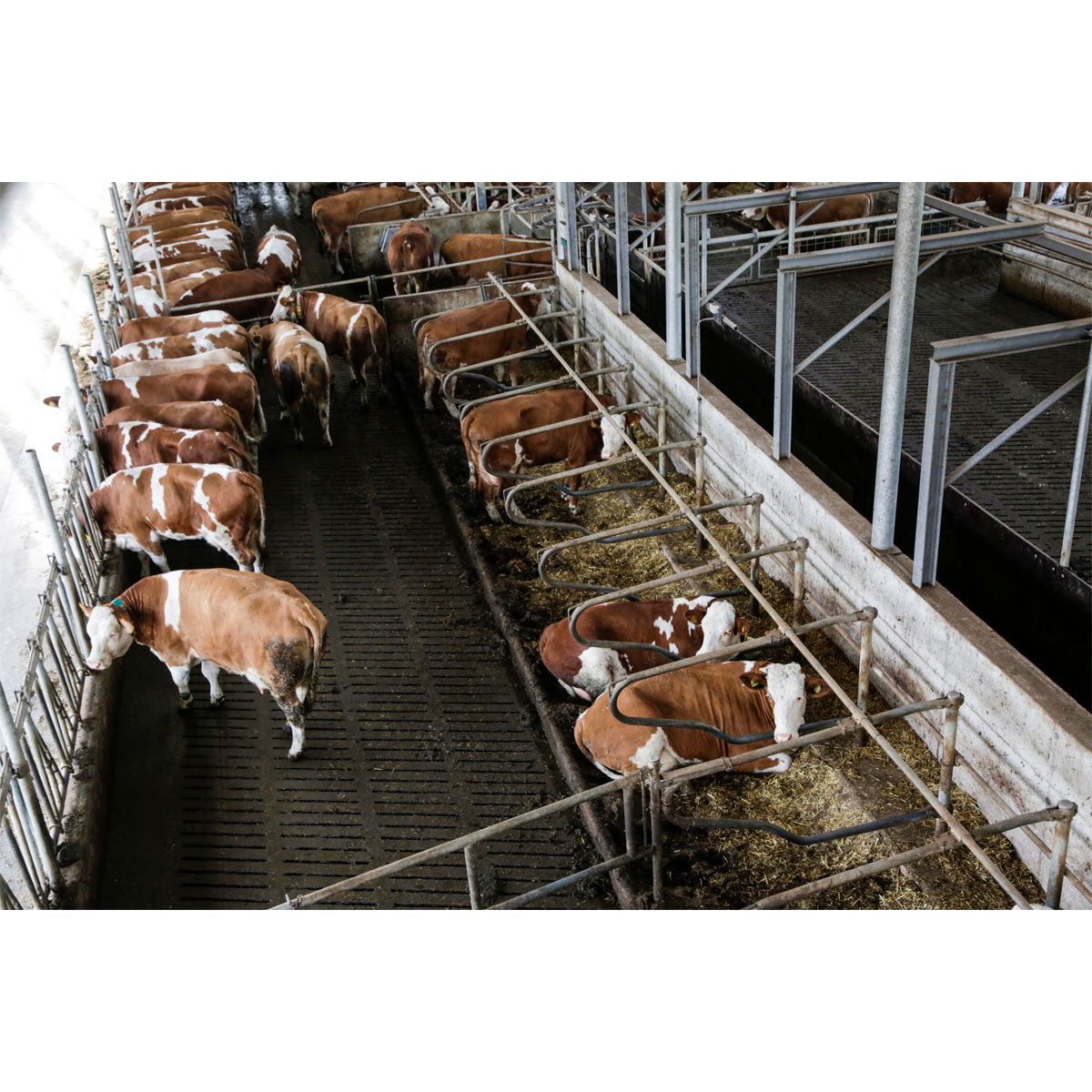 Outdoor-Kamera FHD schwarz 25 x 14 x 33 cm Bild 4