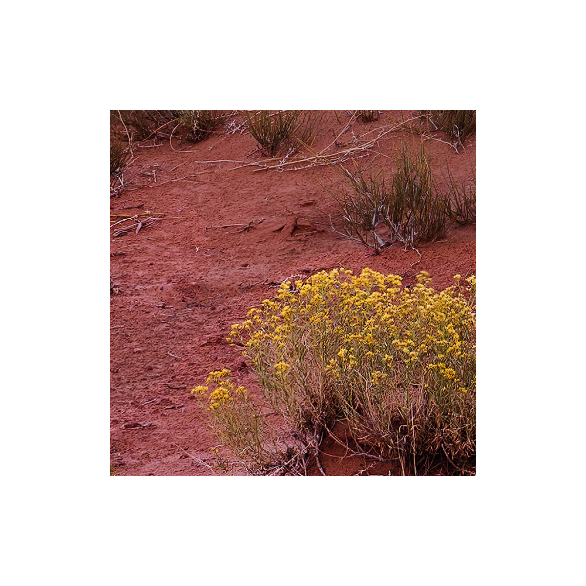 Komar  Vlies Fototapete Wild West Heroes 450x280 cm Bild 5