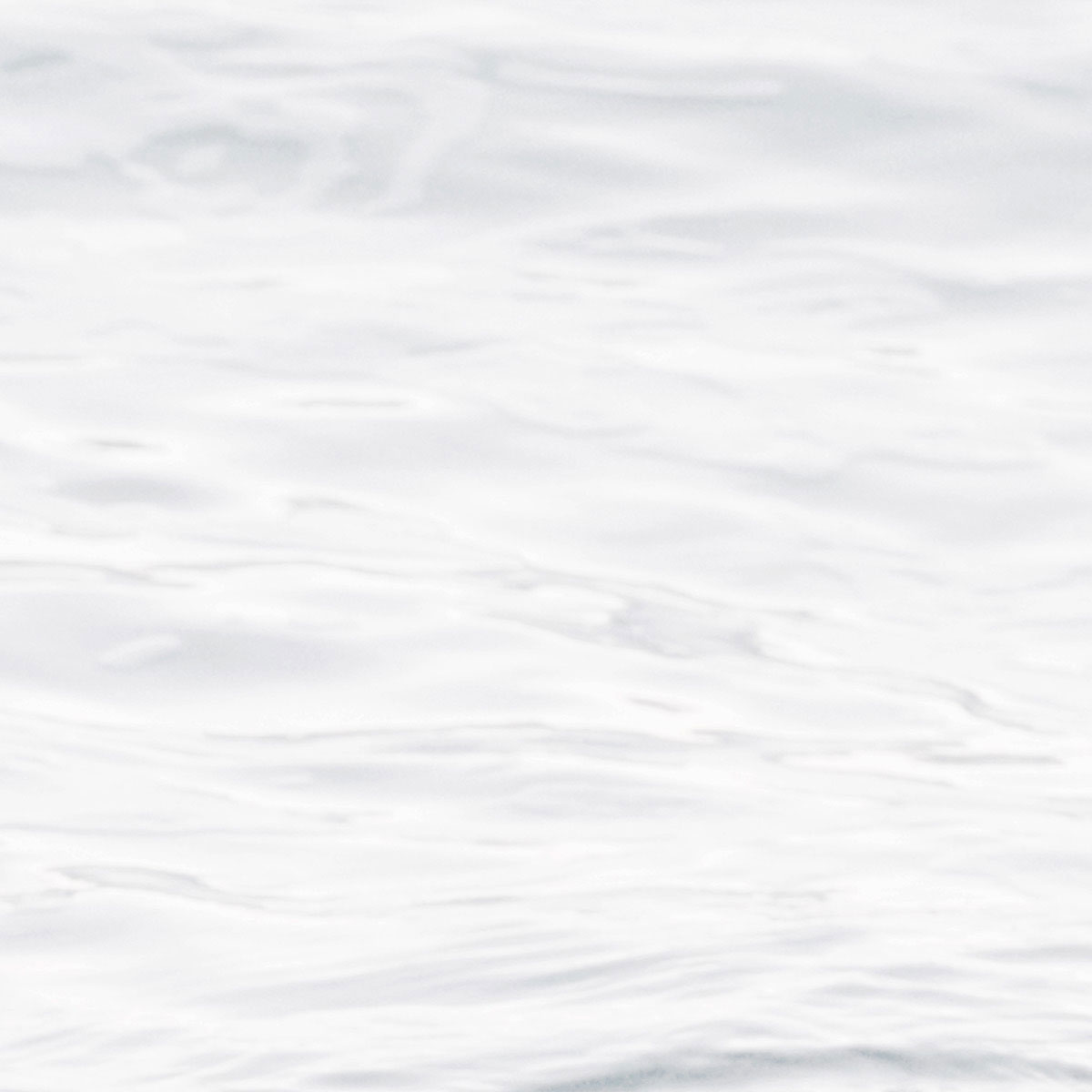 Komar  Vlies Fototapete Silver Beach 400x280 cm Bild 5