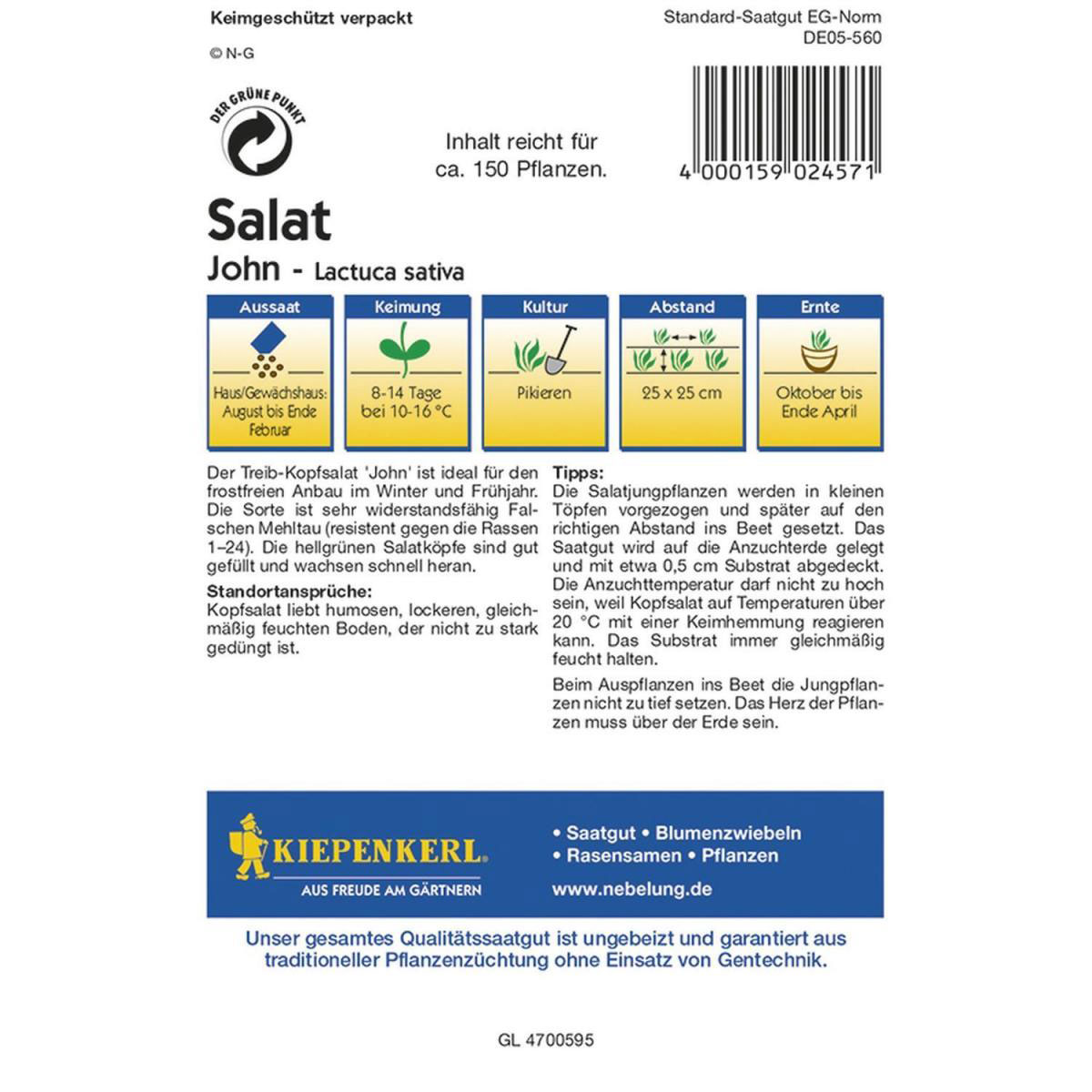 Kiepenkerl Treibhaus-Kopfsalat John Profi-Line Bild 2