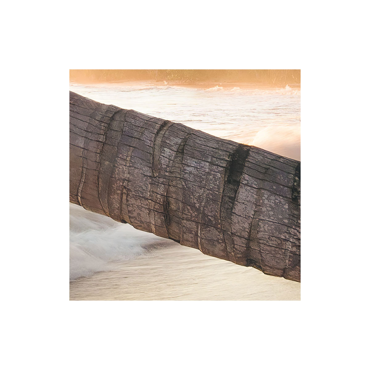 Komar  Vlies Fototapete Strandgeheimnis 450x280 cm Bild 3