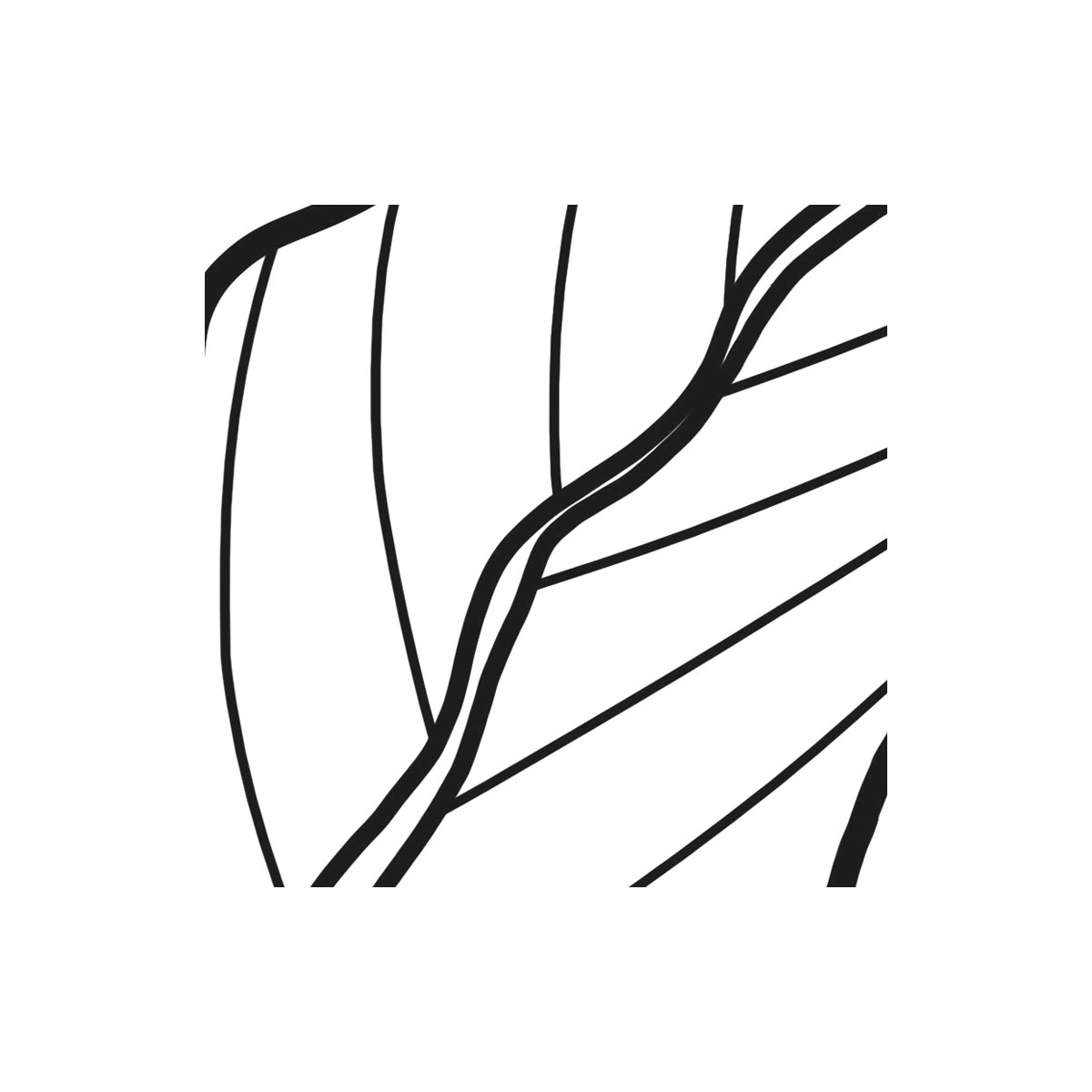 Komar  Vlies Fototapete Savanna 350x250 cm Bild 6