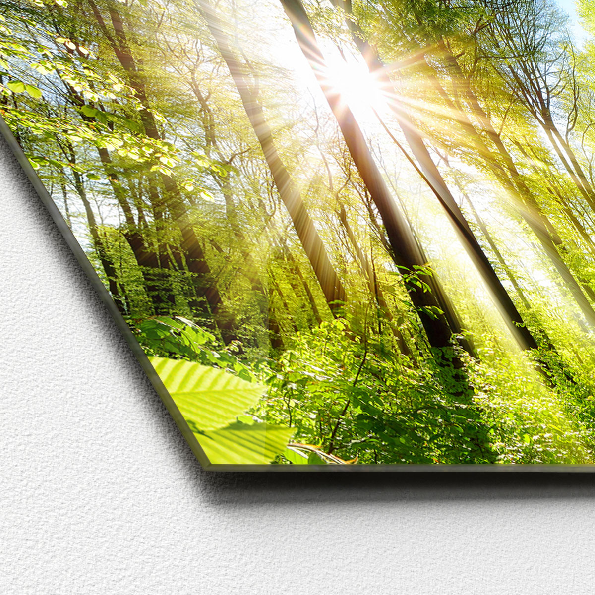 Glas-Art Towards The Sun 50 x 125 cm Glasbild Bild 2