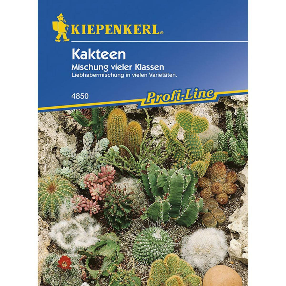 Kiepenkerl Kakteen Mischung vieler Klassen Profi-Line Bild 1