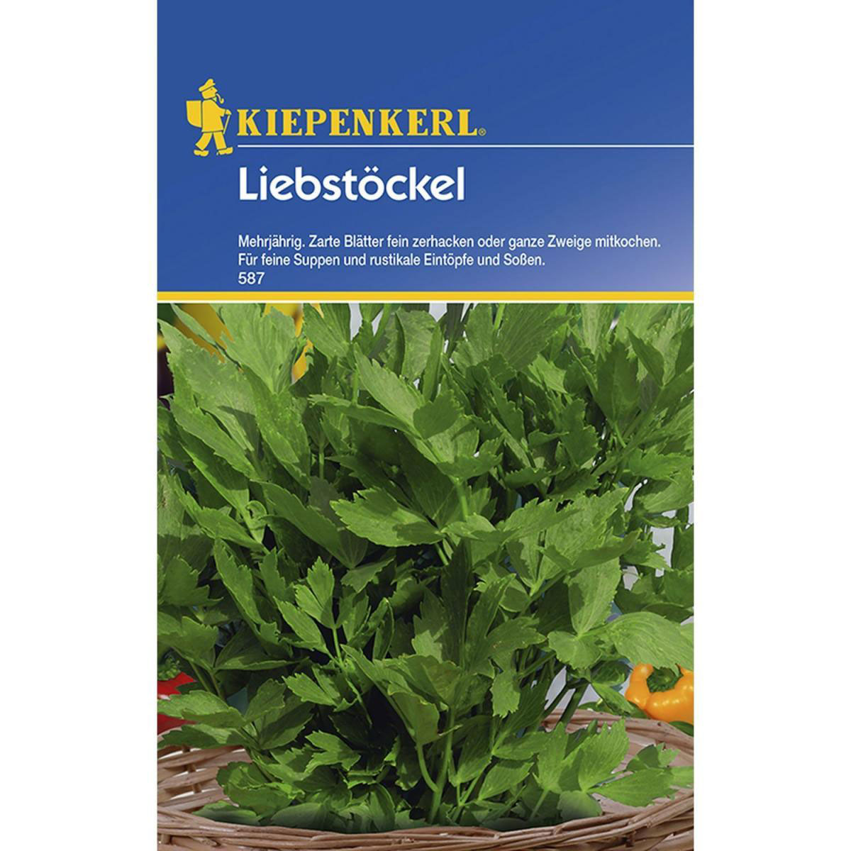 Kiepenkerl Liebstöckel Maggikraut Bild 1