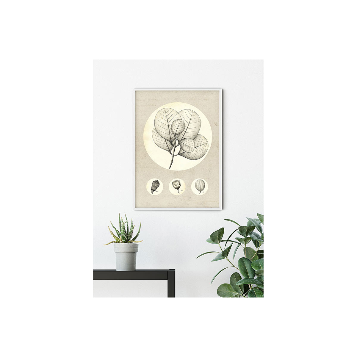 Komar  Wandbild Transparent Leaf 40x50 cm Bild 7