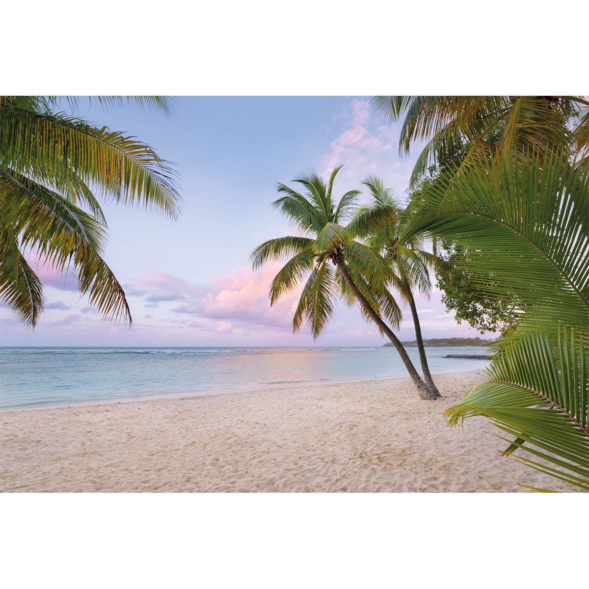 Komar  Vlies Fototapete Paradise Morning 368x248 cm Bild 2