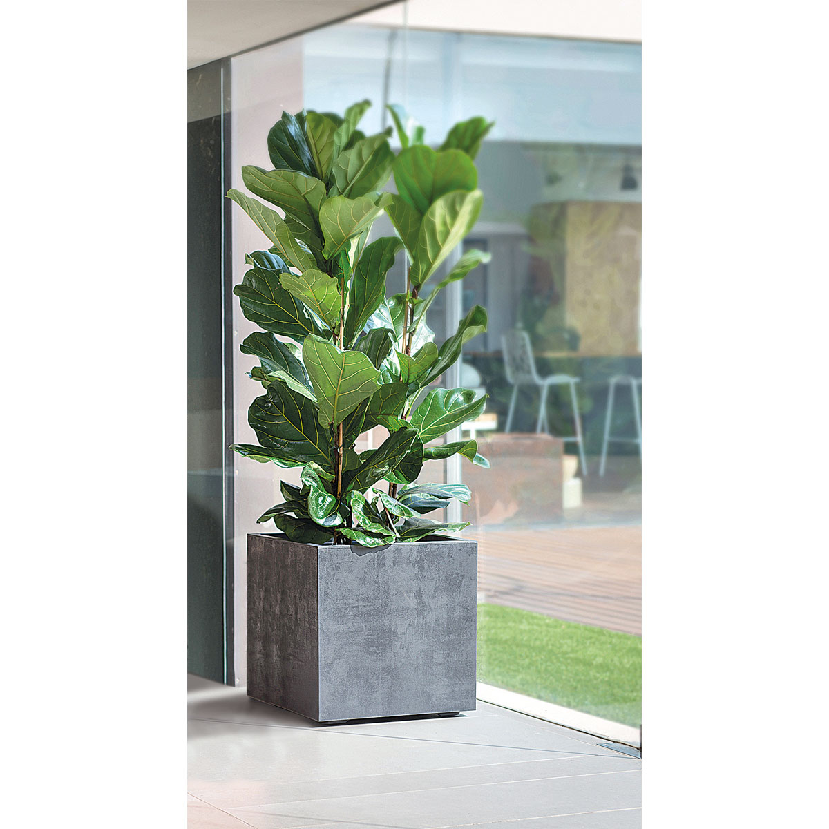 Pflanztopf Millennium anthrazit 49 x 49 x 49 cm Bild 4