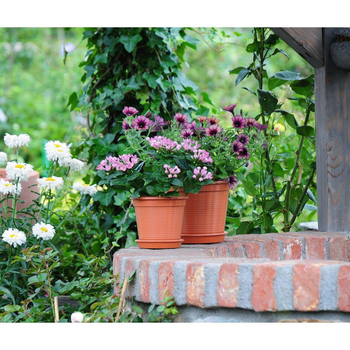 Geli Blumentopf Kunststoff 24 cm terrakotta Bild 2