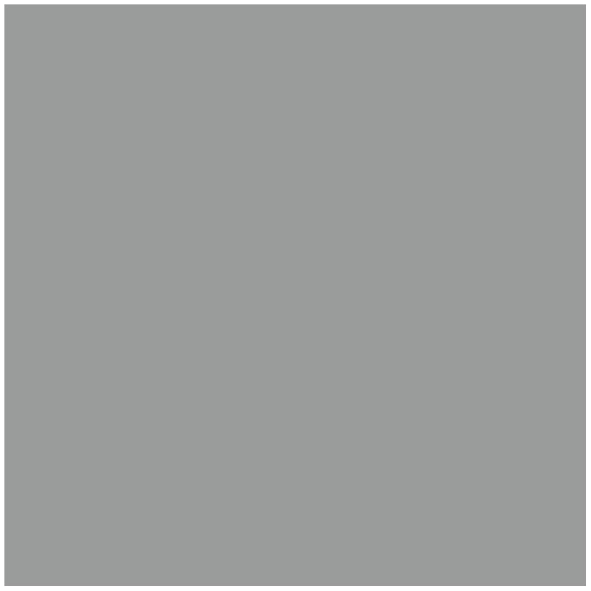 Gardinia Flächenvorhang 60 x 245 cm Bild 1