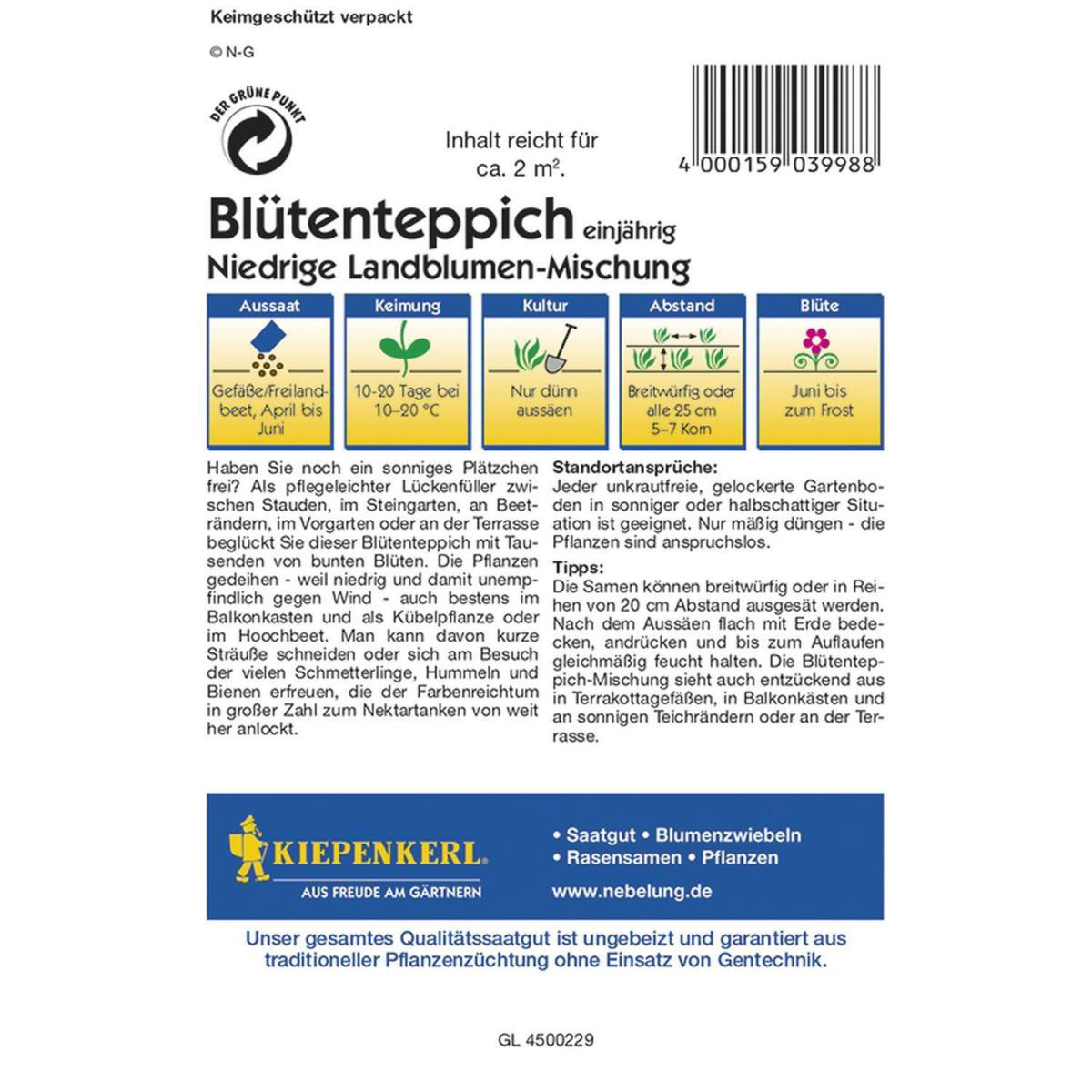 Kiepenkerl Blütenteppich Mischung einjährig Profi-Line Bild 2