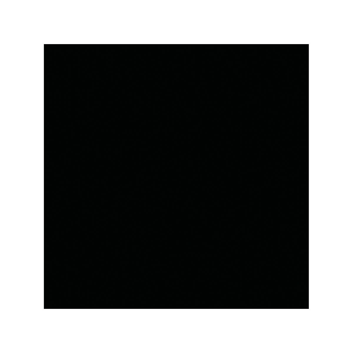 Vincent Wetterschutzfarbe Tiefschwarz 2,5 L Bild 2