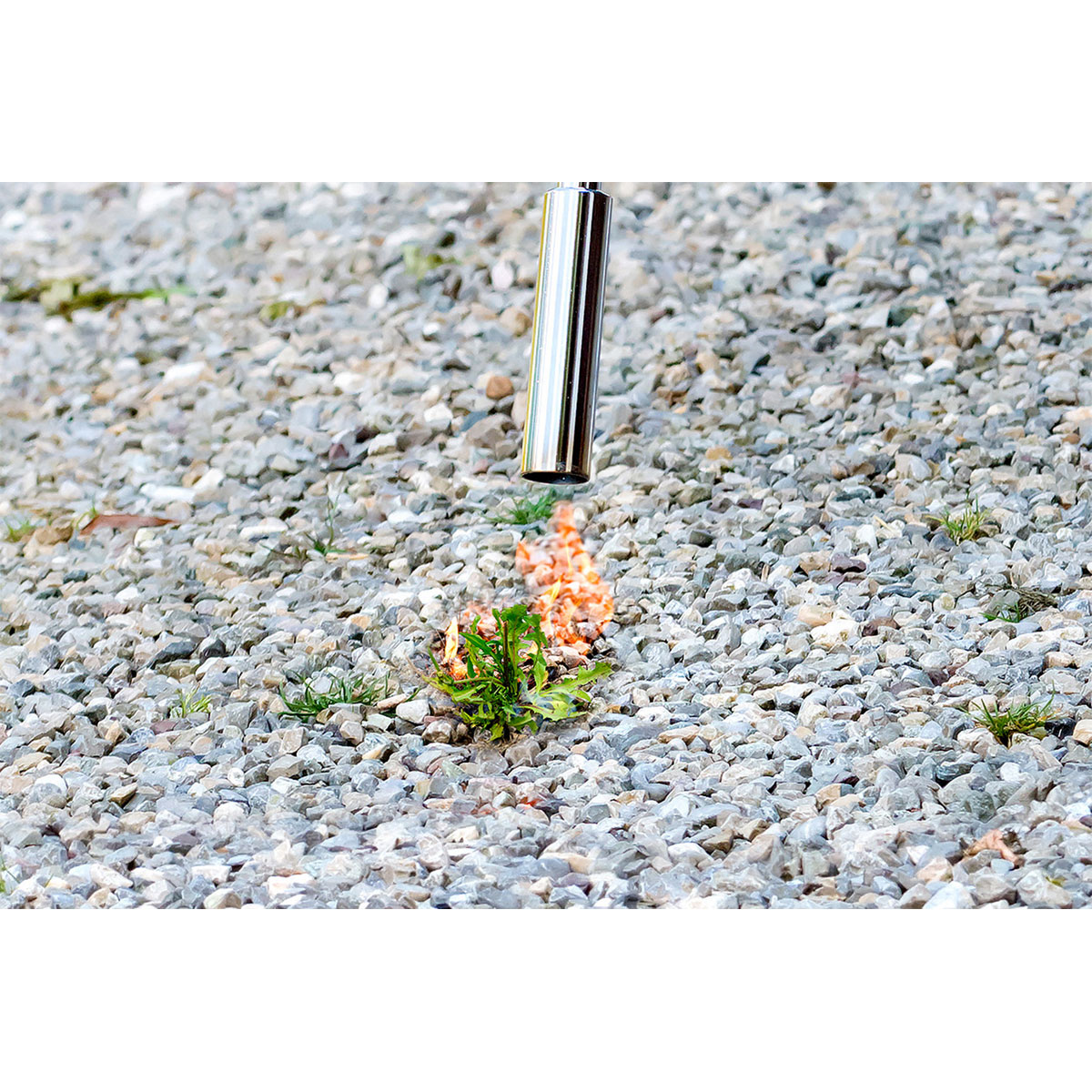 Gloria Unkrautbrenner Thermoflamm Bio Classic PLUS inkl Gaskartusche Bild 4