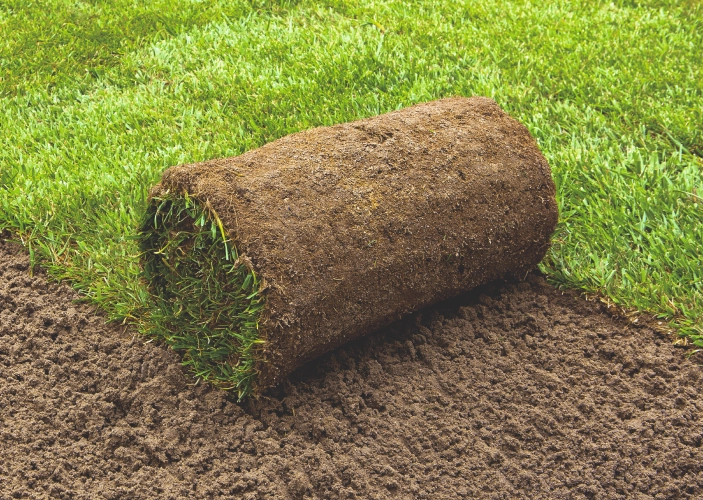 Rollrasen wird ausgerollt