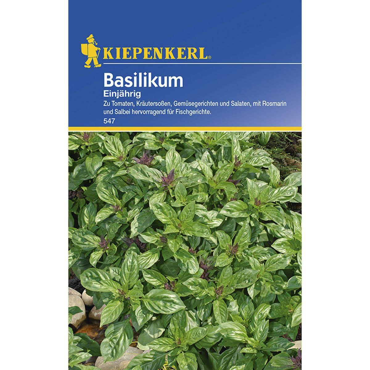 Kiepenkerl Basilikum feinblättrig einjährig