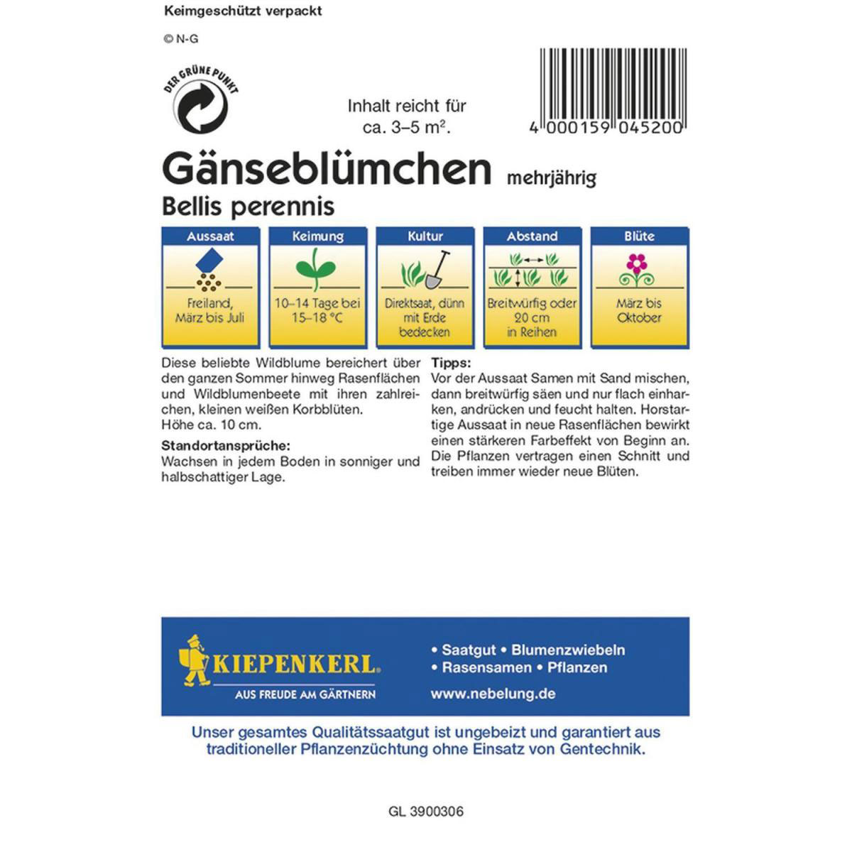 Kiepenkerl Wiesen-Gänseblümchen Profi-Line Bild 2