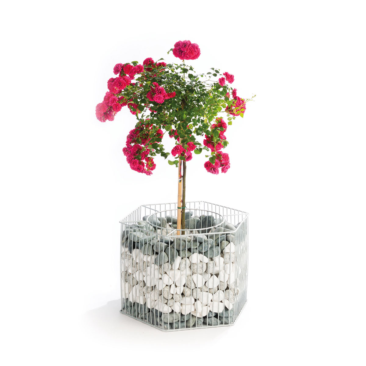 Wilk Gabionen-Pflanzgefäß Montana L Bild 3