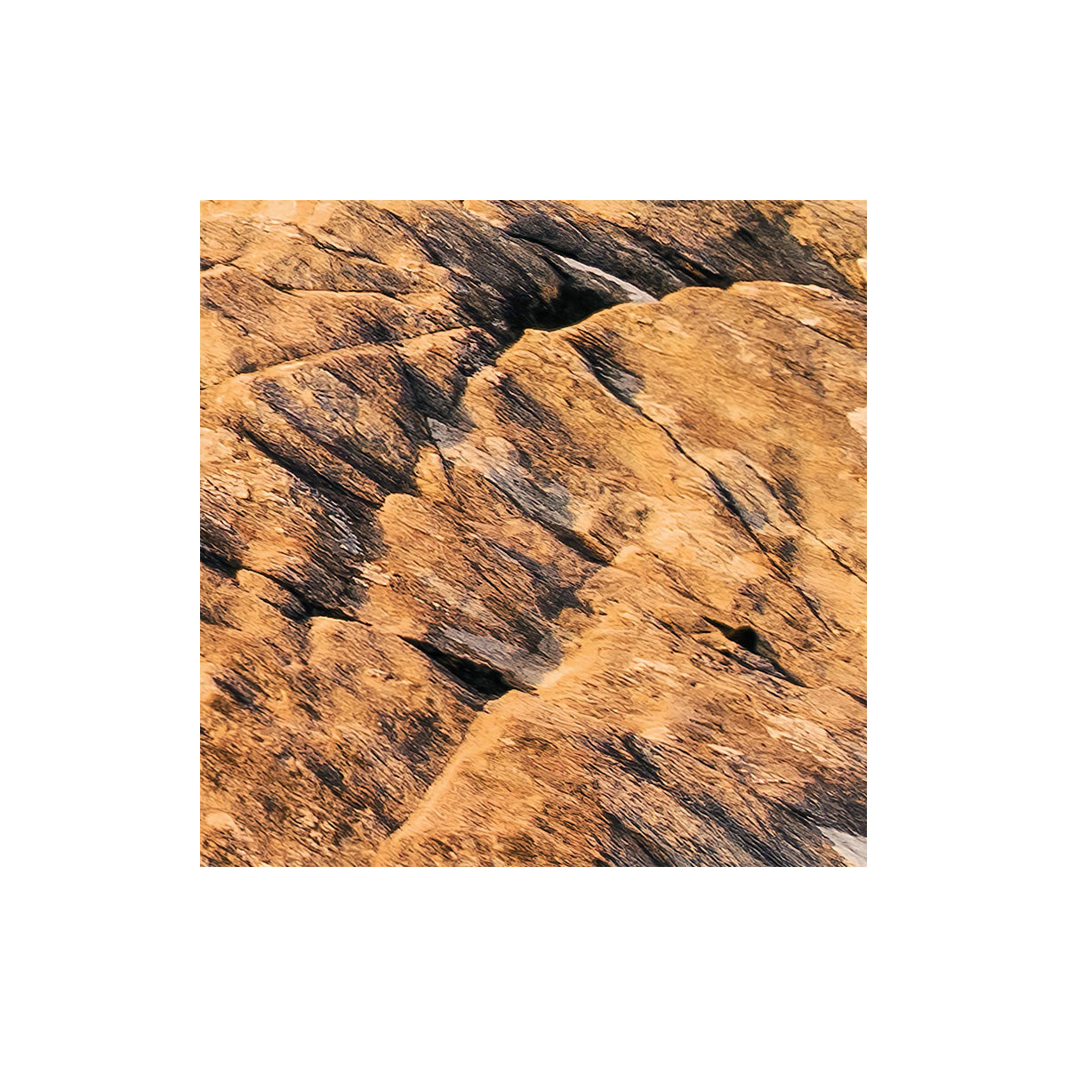 Komar  Vlies Fototapete Abenteuerland 400x280 cm Bild 8