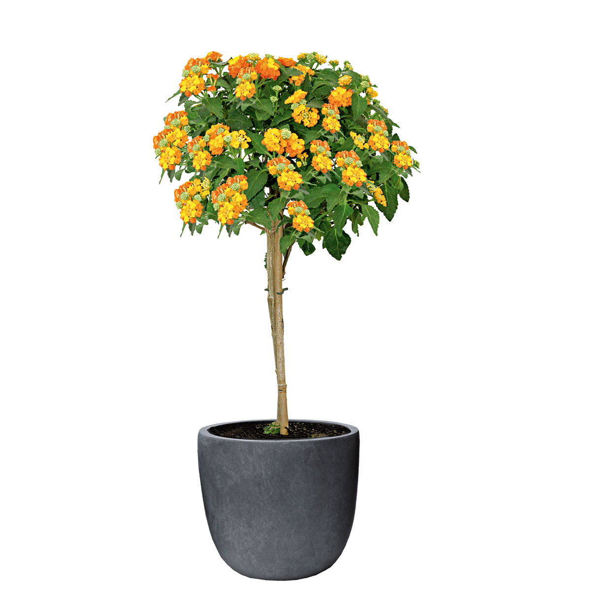 Haveson Blumentopf Granite Durchmesser 28 x 27 cm Bild 4