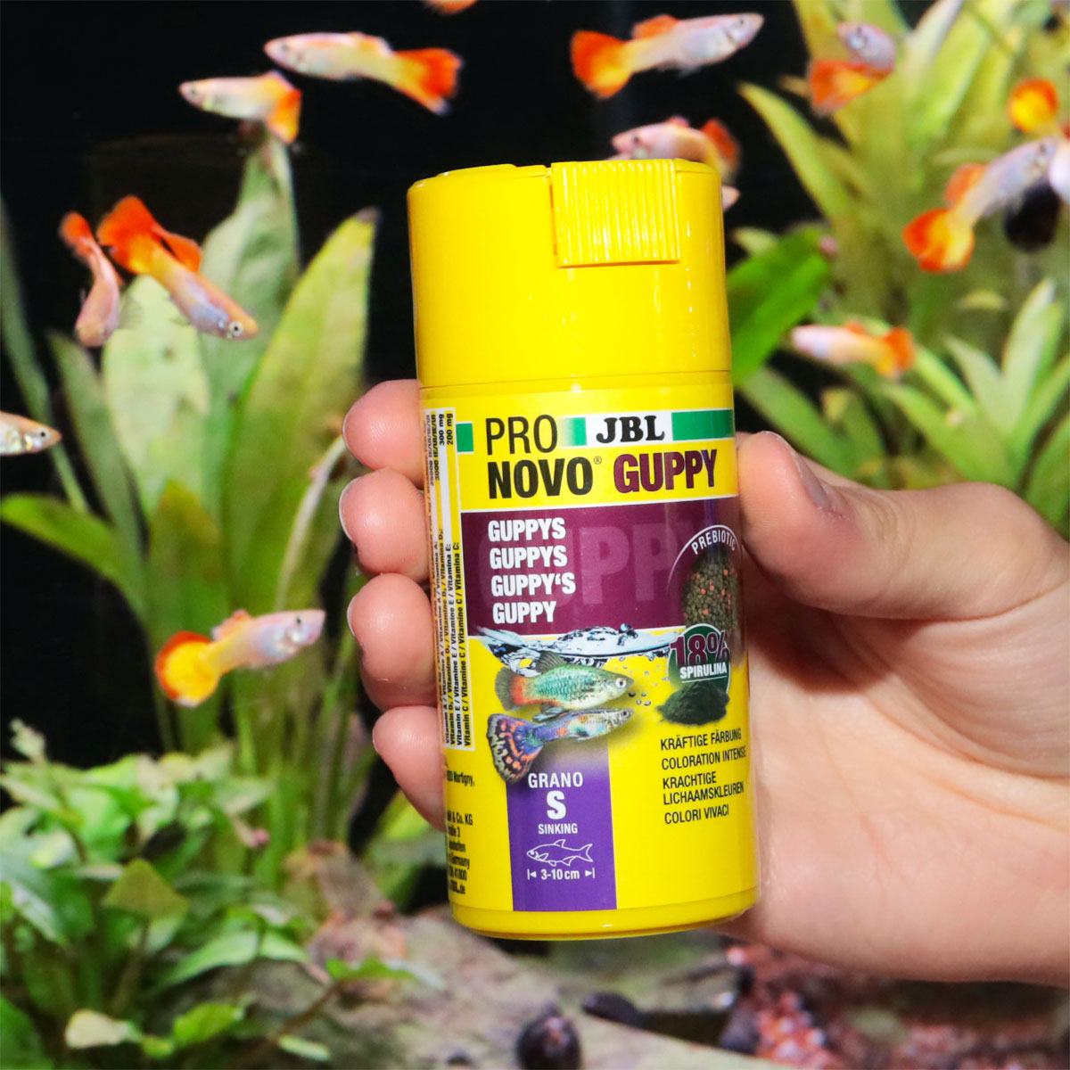 Fischfutter PRONOVO GUPPY GRANO S 100 ml Bild 9