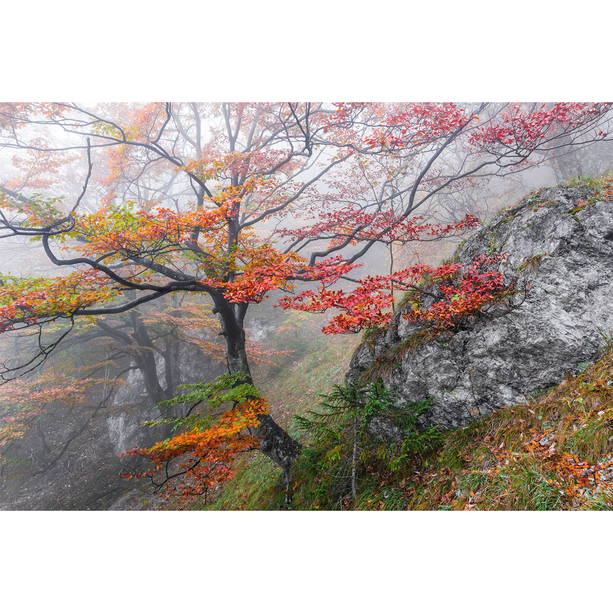 Komar  Vlies Fototapete Euphoria 300x200 cm Bild 2