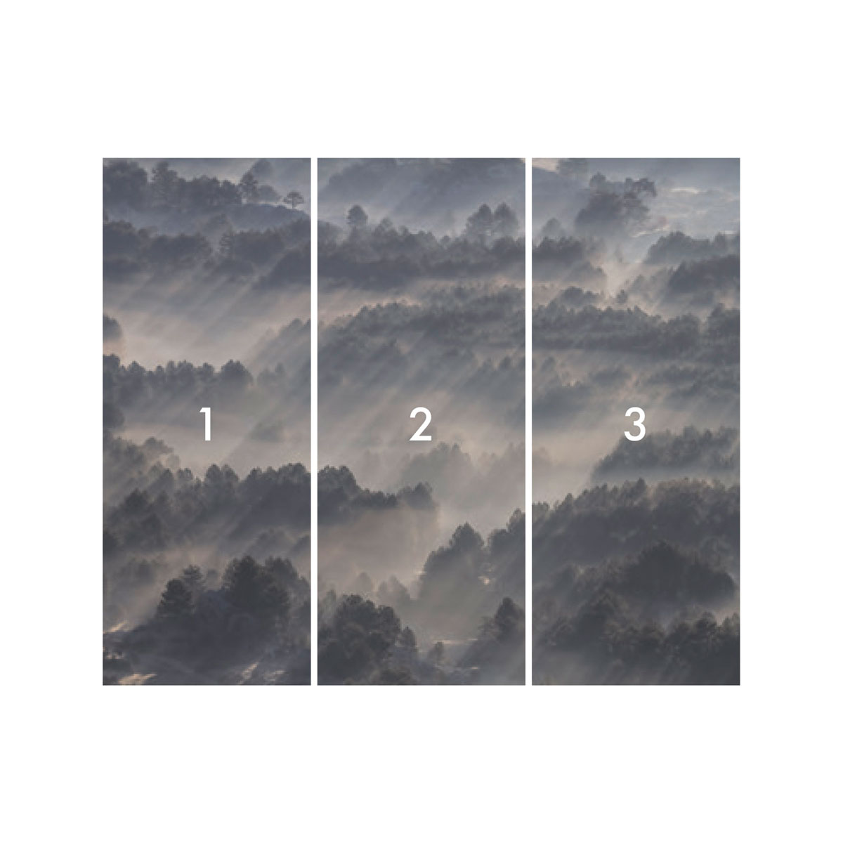 Komar  Vlies Fototapete Rays 300x250 cm Bild 3