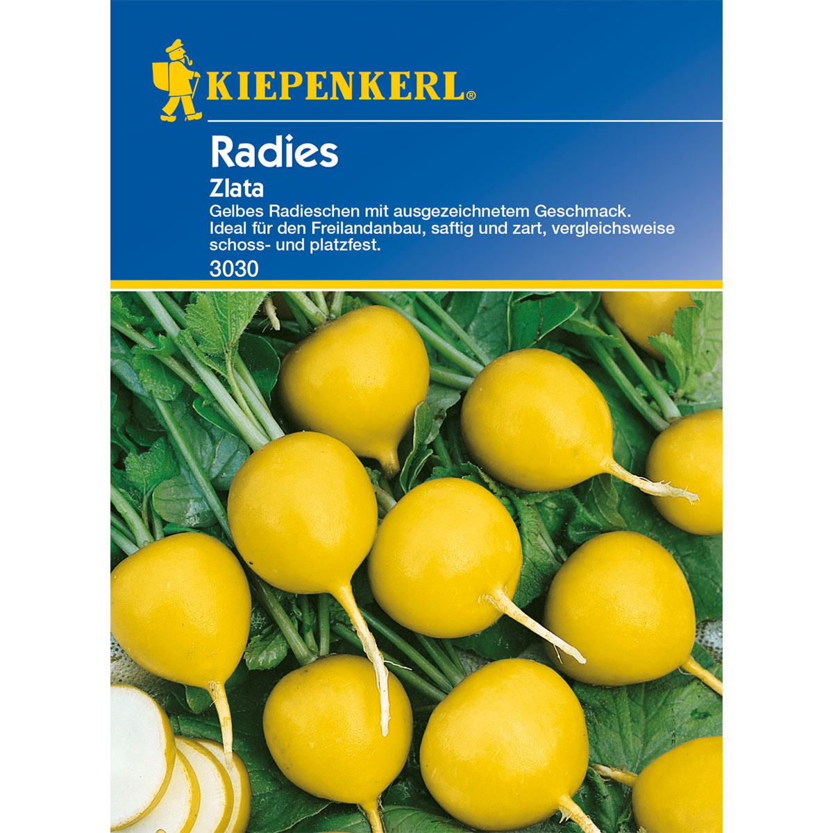 Kiepenkerl Radies Zlata