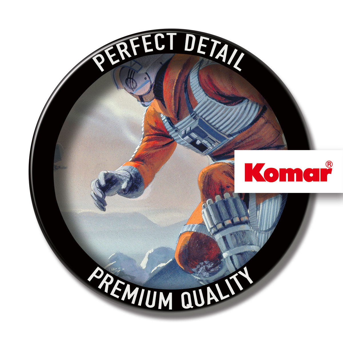 Komar  Wandbild Star Wars Classic Hoth Battle Pilot 40x30 cm Bild 6