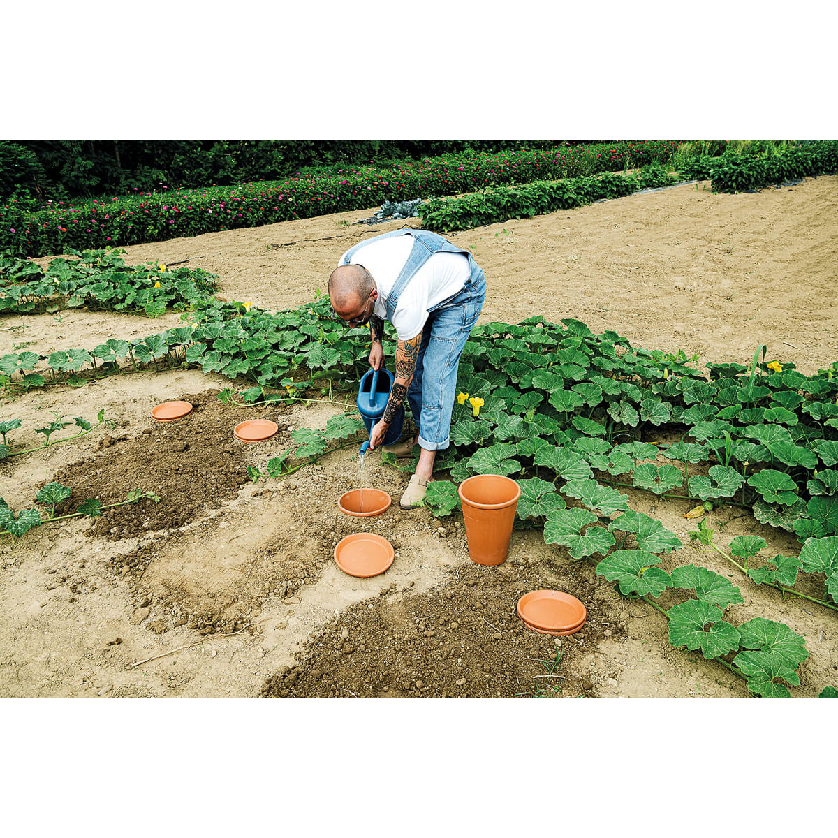 Bewässerungskegel Aquado Bild 3