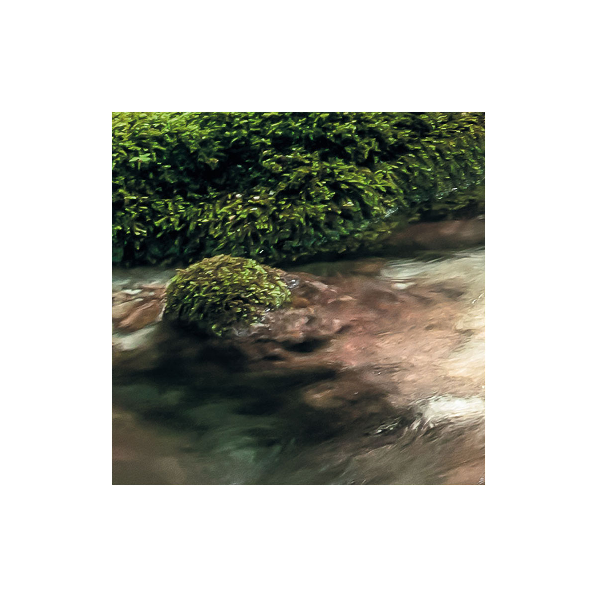 Komar  Vlies Fototapete Tranquil Pool 400x250 cm Bild 9