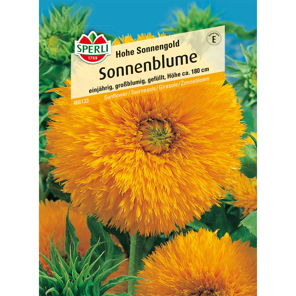 Sperli Sonnenblume Hohe Sonnengold Bild 1