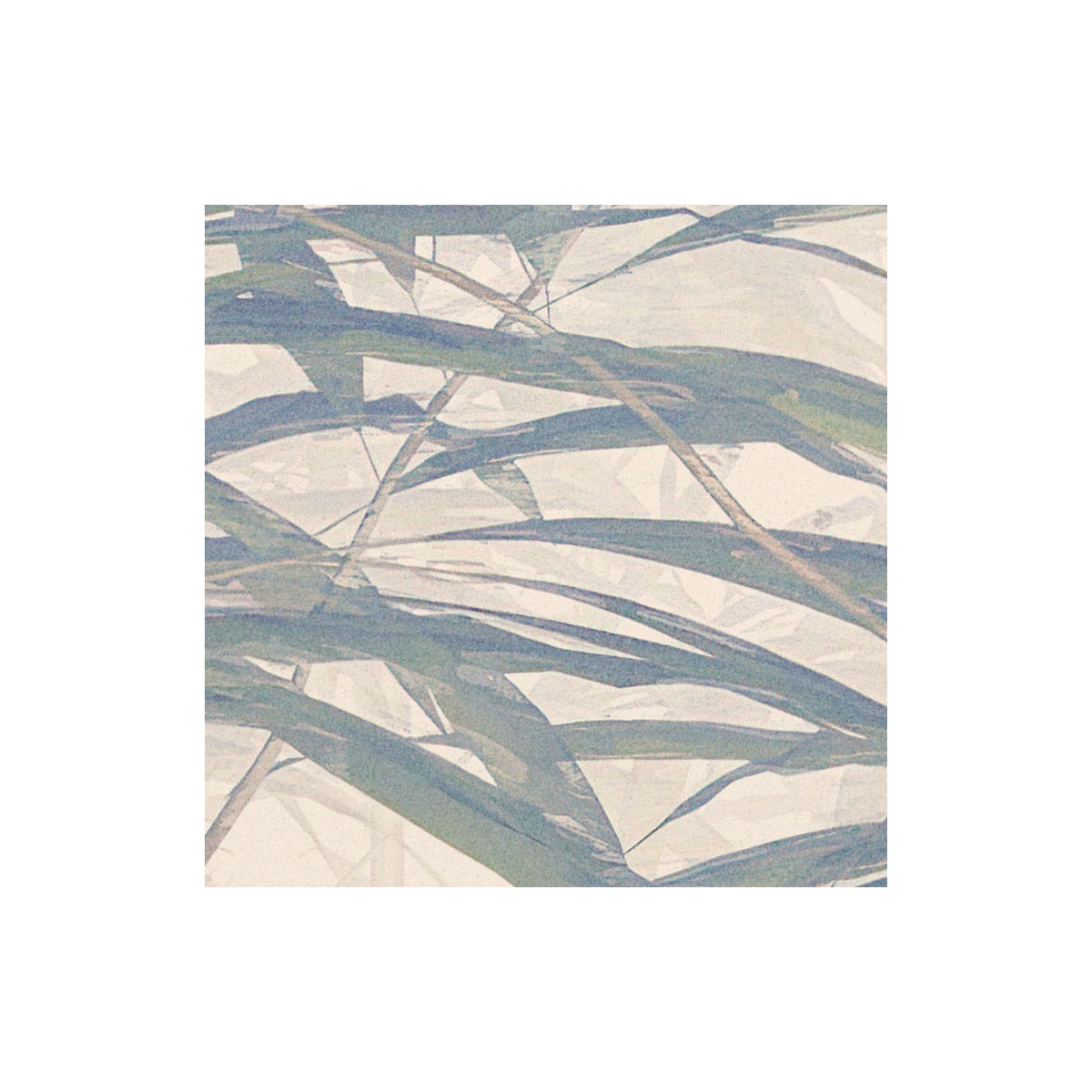 Komar  Vlies Fototapete Bamboo Paradise 300x250 cm Bild 7