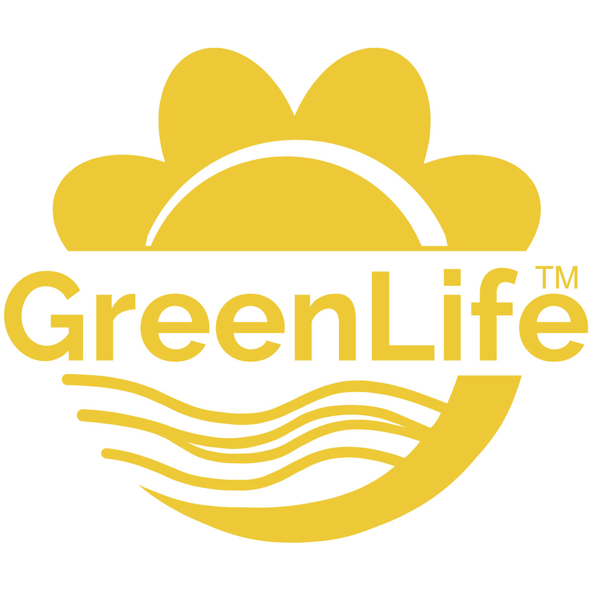 GreenLife Regenwasser-Flachtank, mit Ausgleichsdom und begehbarer Abdeckung, 2.000 L Bild 2