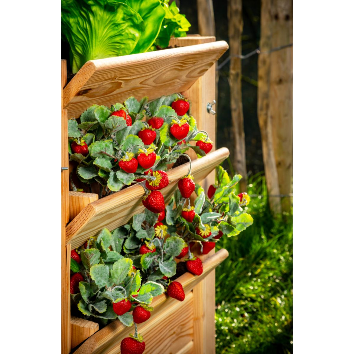 Westmann Hochbeet Premium XL 91x66x73cm Bild 3