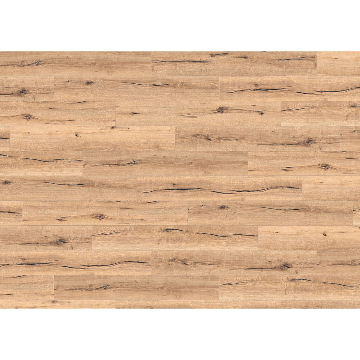 Living by HARO Laminat Eiche Sahara 128,5 x 19,3 cm Bild 2