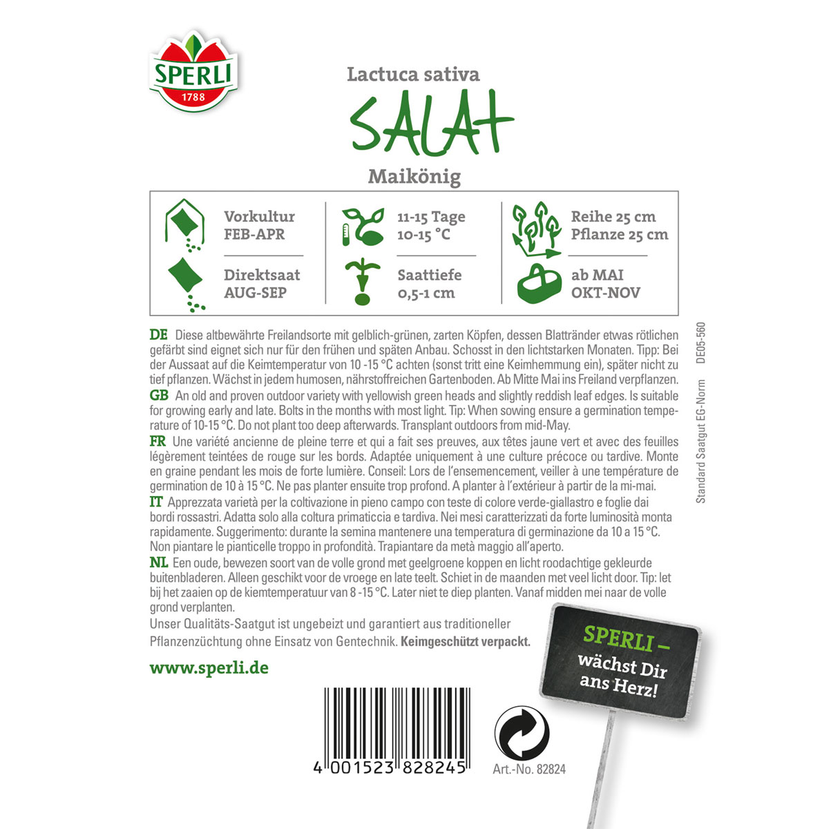 Sperli Kopfsalat Maikönig Bild 2