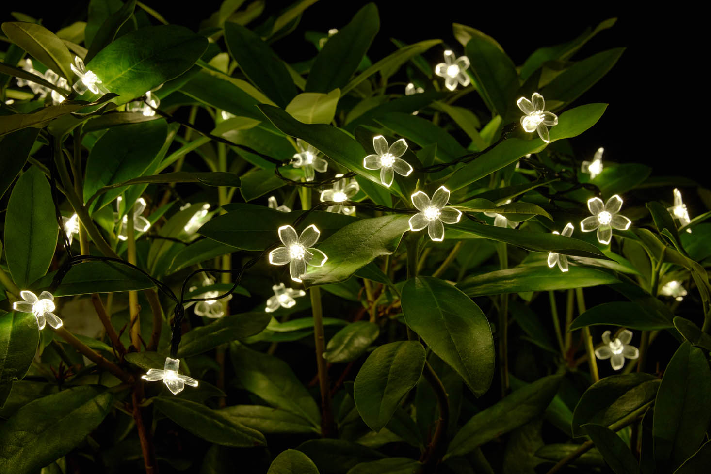 LED Solarlichterkette mit Blumenmotive zwischen Pflanzen