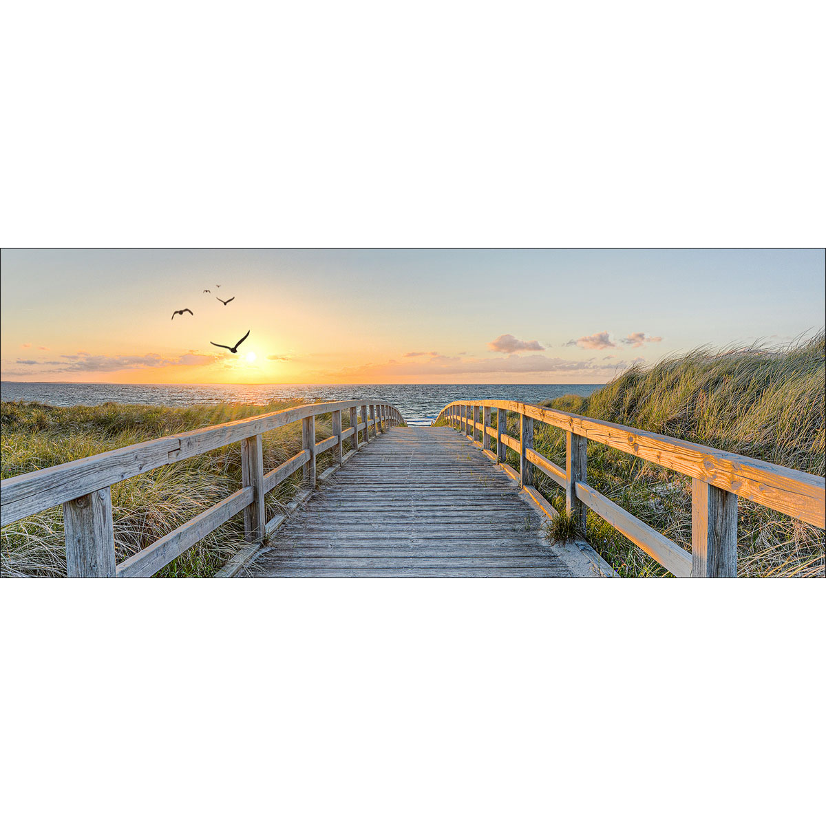 Glas-Art Birds Above Lost Sea 30 x 80 Glasbild Bild 1