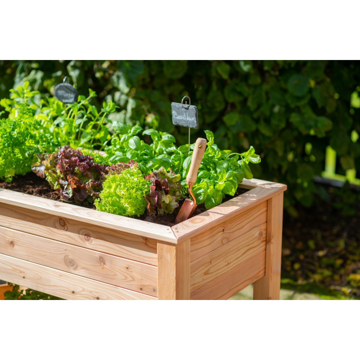 Westmann Hochbeet Emily inkl. Ablage 65x120x75cm Bild 4