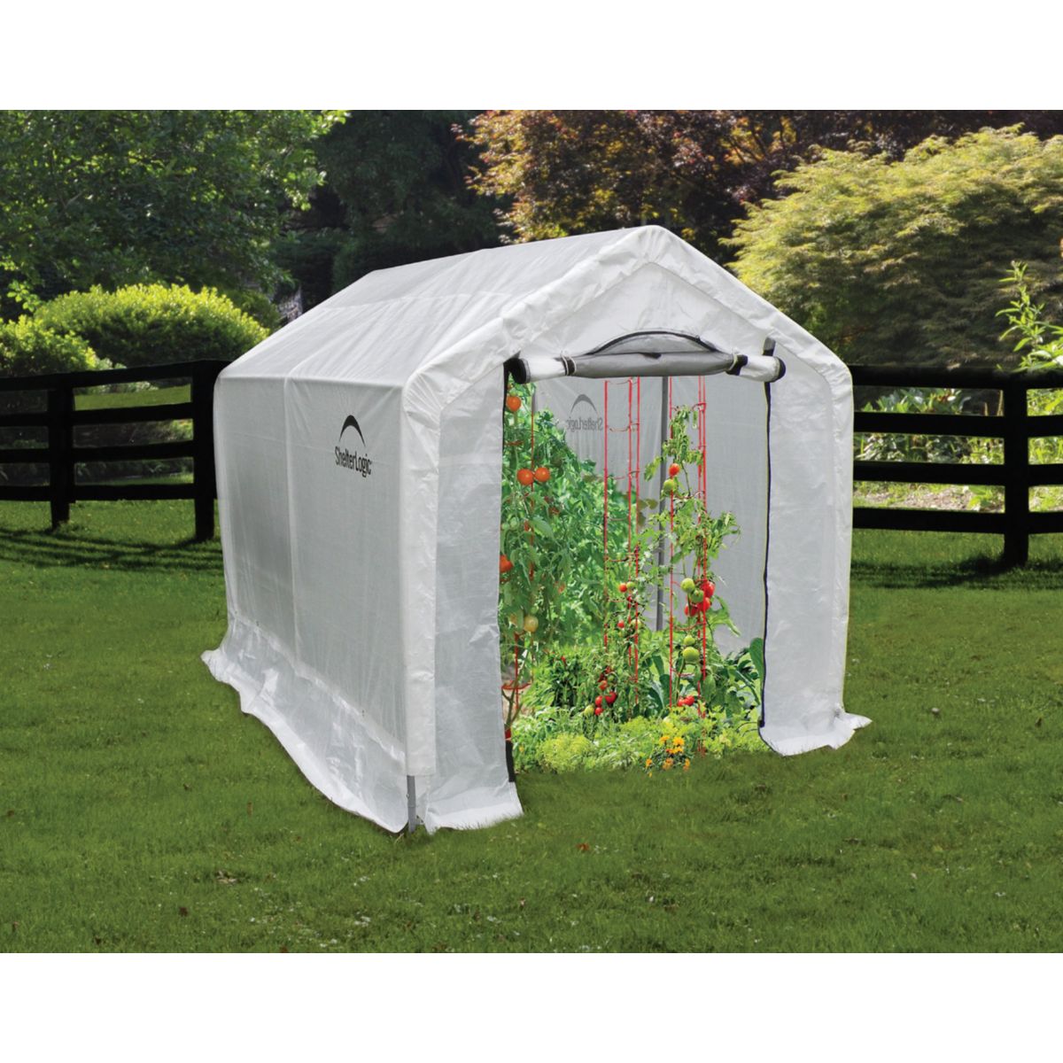 ShelterLogic Gewächshaus 4,32 m² inkl. Regal 244x185x183cm Bild 2